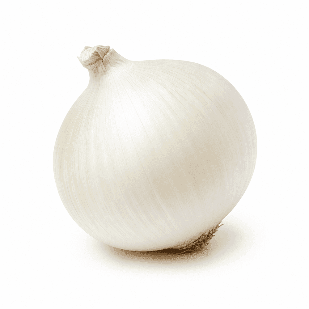 Cebolla Blanca