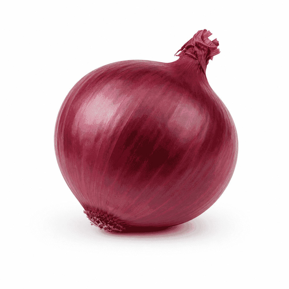 Cebolla Morada