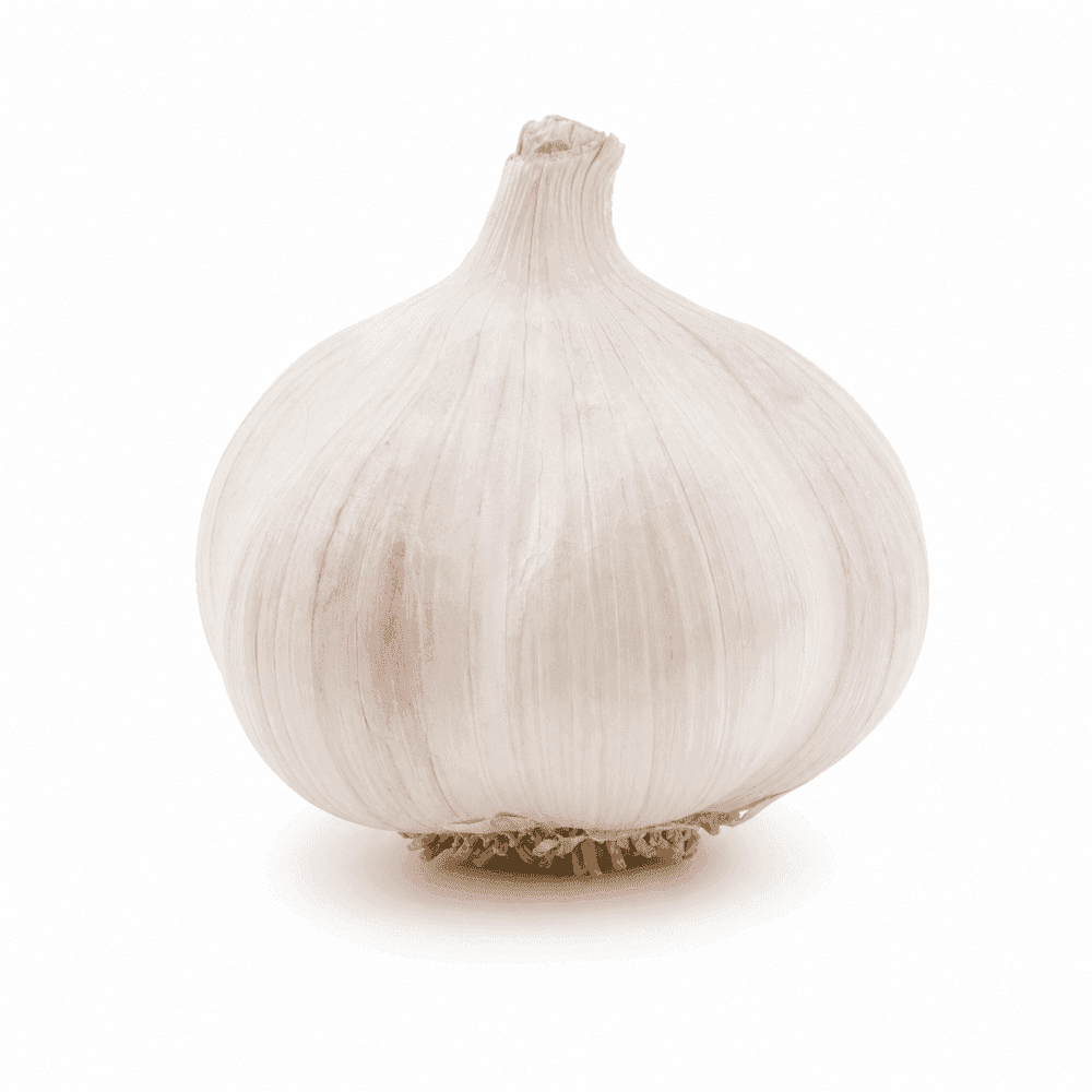 Ajo
